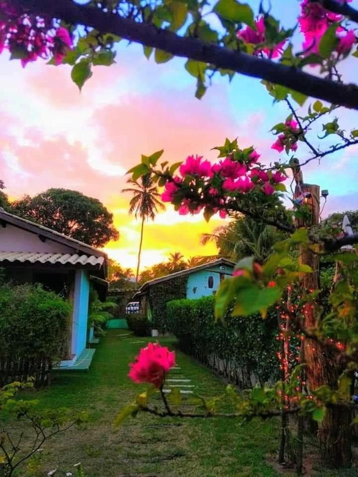 Ferienwohnung Casa Jasmim Imbassai-Ba Mata de Sao Joao Exterior foto